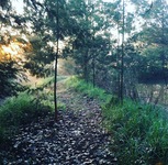 Running Trail path